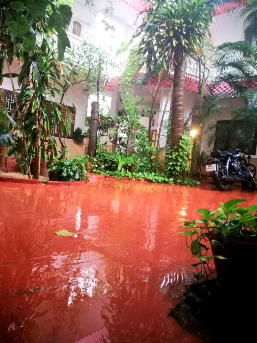 Daphne Hotel Mahabalipuram Pokój zdjęcie